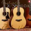 Los Ahijados De Sinaloa - Tal Vez